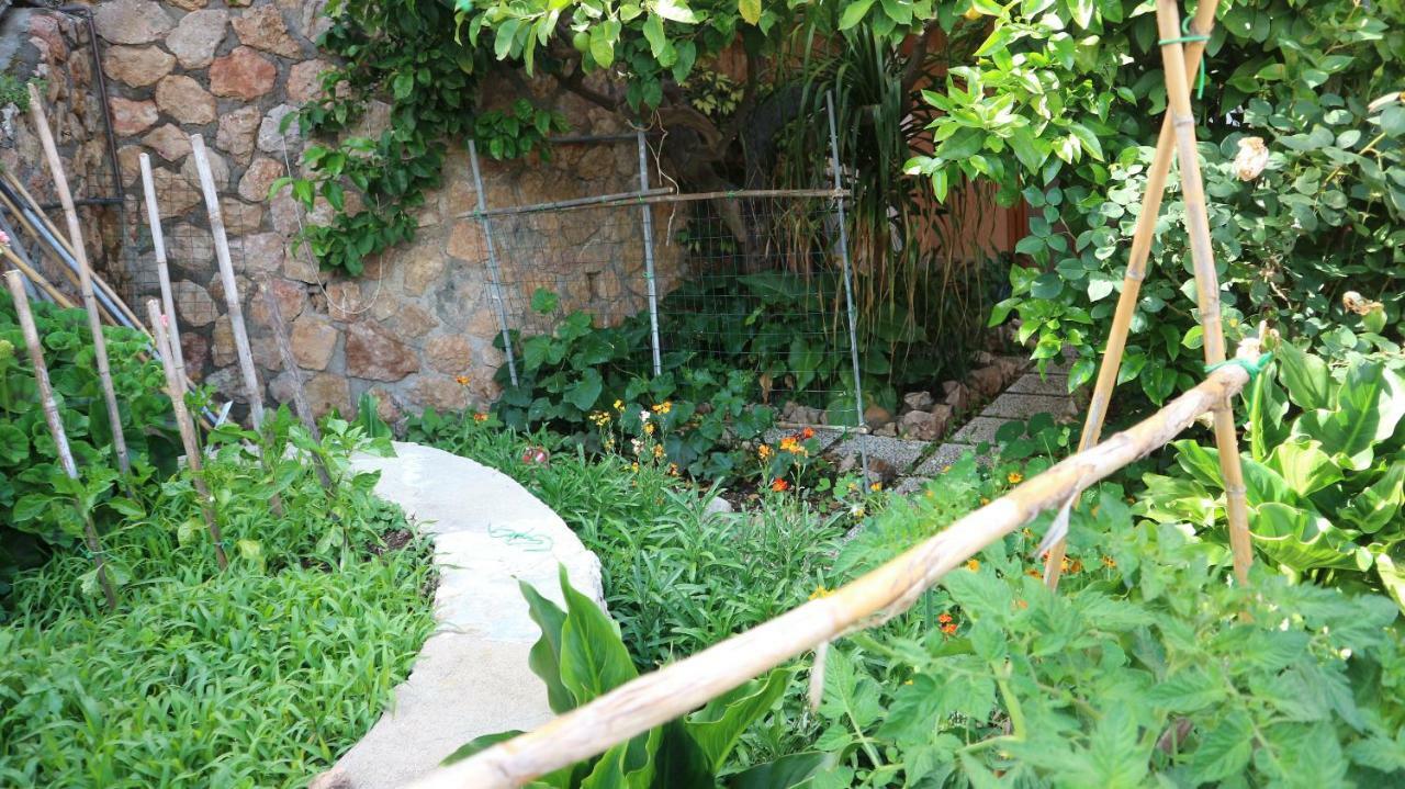 Appartement La Casa Di Elba E Mario à Porto Santo Stefano  Extérieur photo